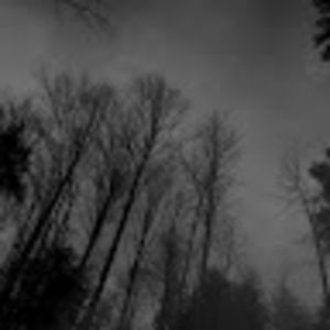 Meet your Posher, Lindsay